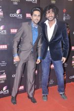Chunky Pandey at Screen Awards red carpet in Mumbai on 12th Jan 2013 (145).JPG